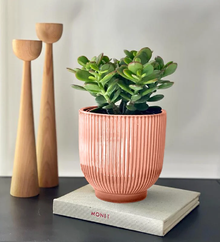 With Pink Pot